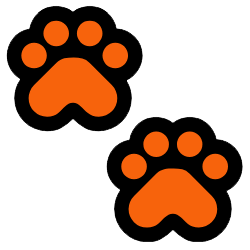 OpenClaw101